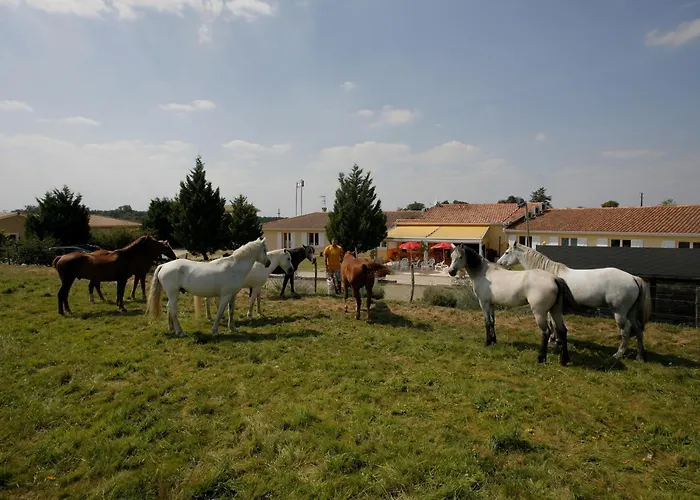 Logis Corintel Bordeaux Est 3* Tresses